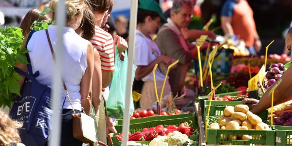 People shopping for vegetables at an outdoor market, with various produce displayed in green crates.